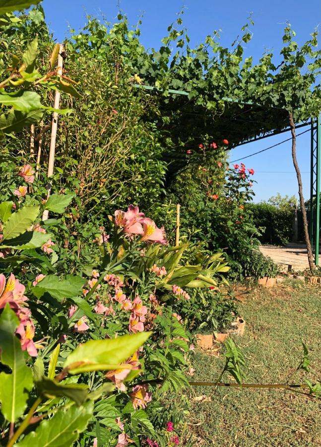 Appartamento Da Vjeri Pula Extérieur photo