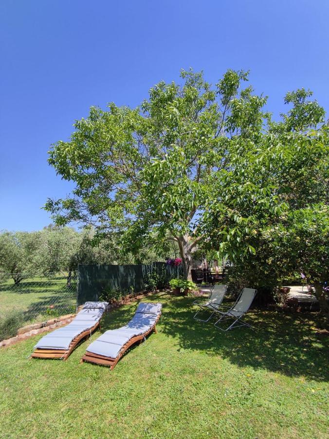 Appartamento Da Vjeri Pula Extérieur photo