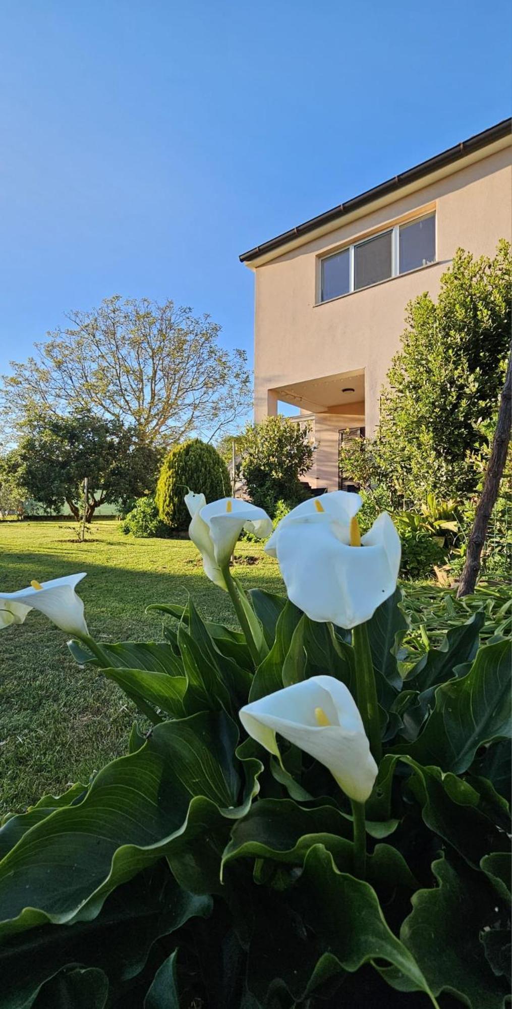Appartamento Da Vjeri Pula Extérieur photo